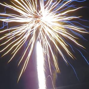 Meet your Posher, Joy